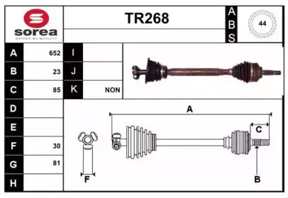 sera-tr268