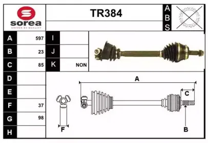 sera-tr384