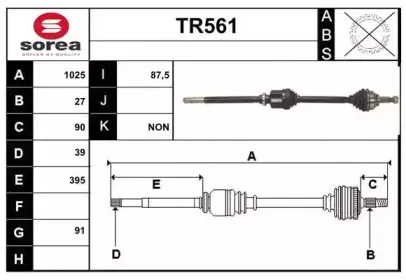 sera-tr561