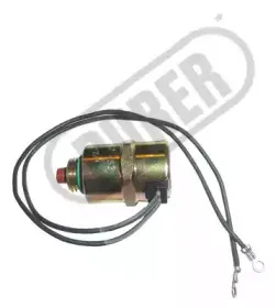 durer-24109262