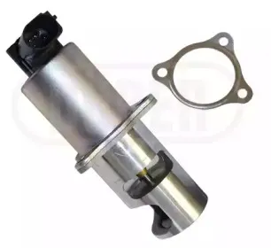 durer-vr61111