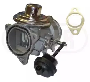 durer-vr81139