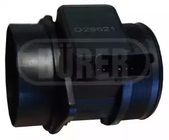 durer-d29621