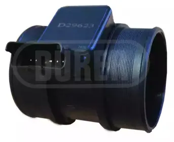 durer-d29623