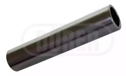 durer-kt2003