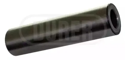 durer-kt2006d