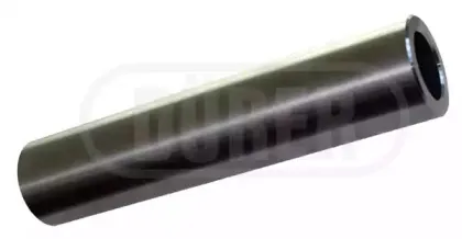 durer-kt2008