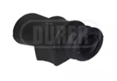 durer-p2011