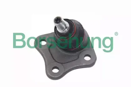 B11336 Borsehung