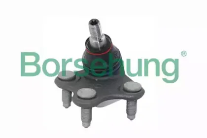 B11339 Borsehung