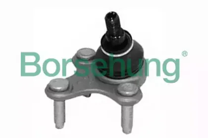 B11341 Borsehung