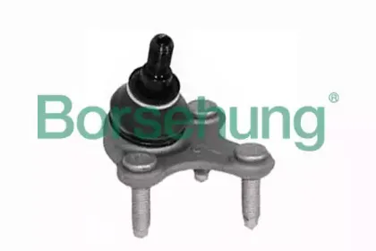 B11342 Borsehung
