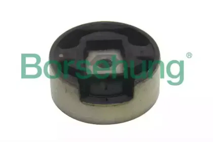 B11354 Borsehung