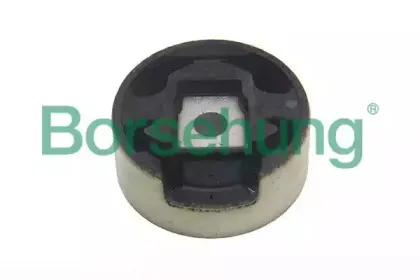 B11355 Borsehung