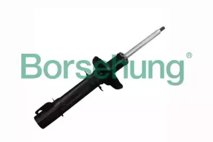 B12134 Borsehung