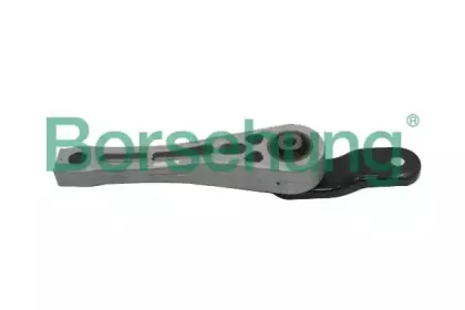 B12267 Borsehung
