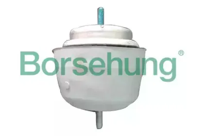 B12472 Borsehung