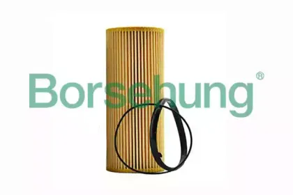 B12820 Borsehung