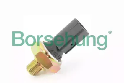 B13138 Borsehung