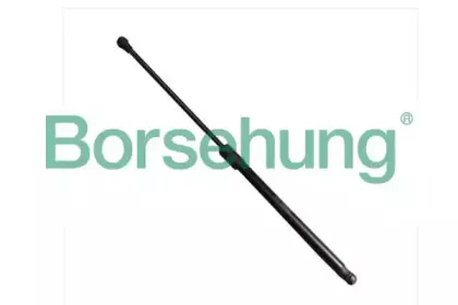 B14199 Borsehung