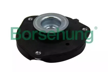 B15446 Borsehung