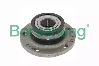B15621 Borsehung