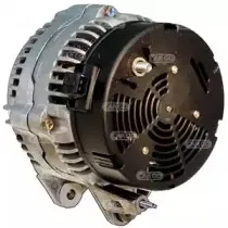 hccargo-111828