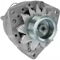 hccargo-112561