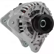 hccargo-115382