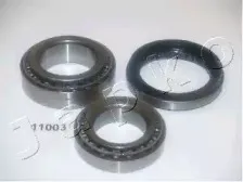 japko-411003