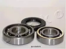 japko-421001