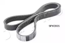 japko-5pk955