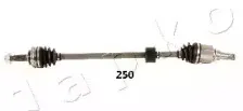 japko-62250