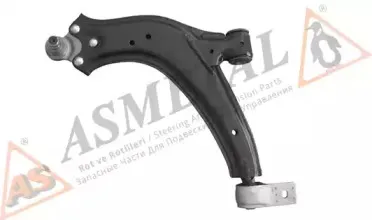 30PE1011 AS METAL