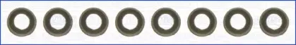 wilminkgroup-wg1169708