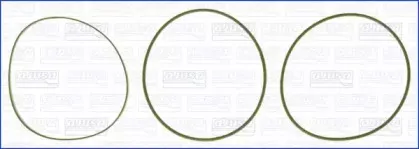 WG1170229 WILMINK GROUP Комплект прокладок, гильза цилиндра