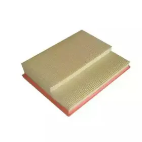 fiba-fa2006