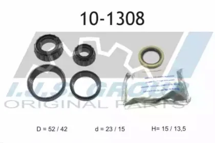 ijsgroup-101308
