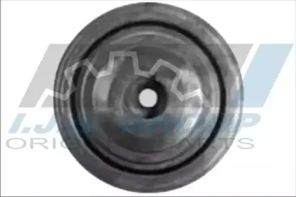 ijsgroup-171199
