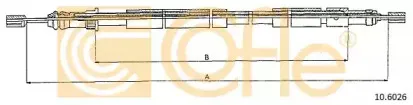 10.6026 COFLE
