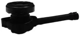 bsf-04989