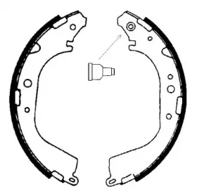 bsf-01557