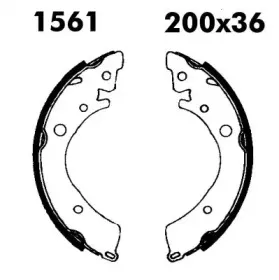 bsf-01561