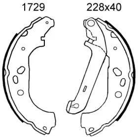bsf-01729