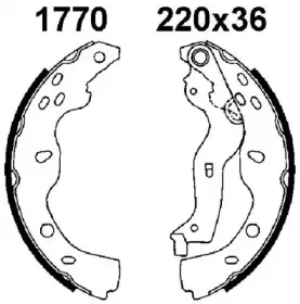 bsf-01770