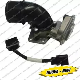 dipasport-egr045n