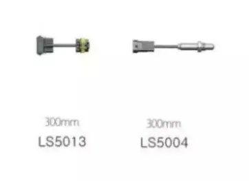 eec-lsk017