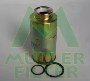 mullerfilter-fn1137