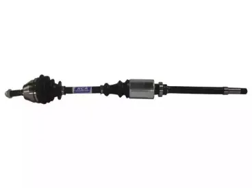 rcafrance-p168n