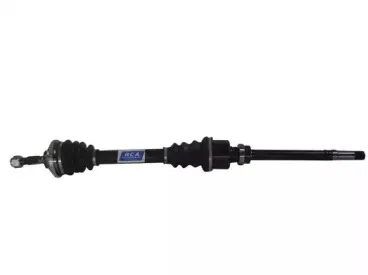 rcafrance-p194a